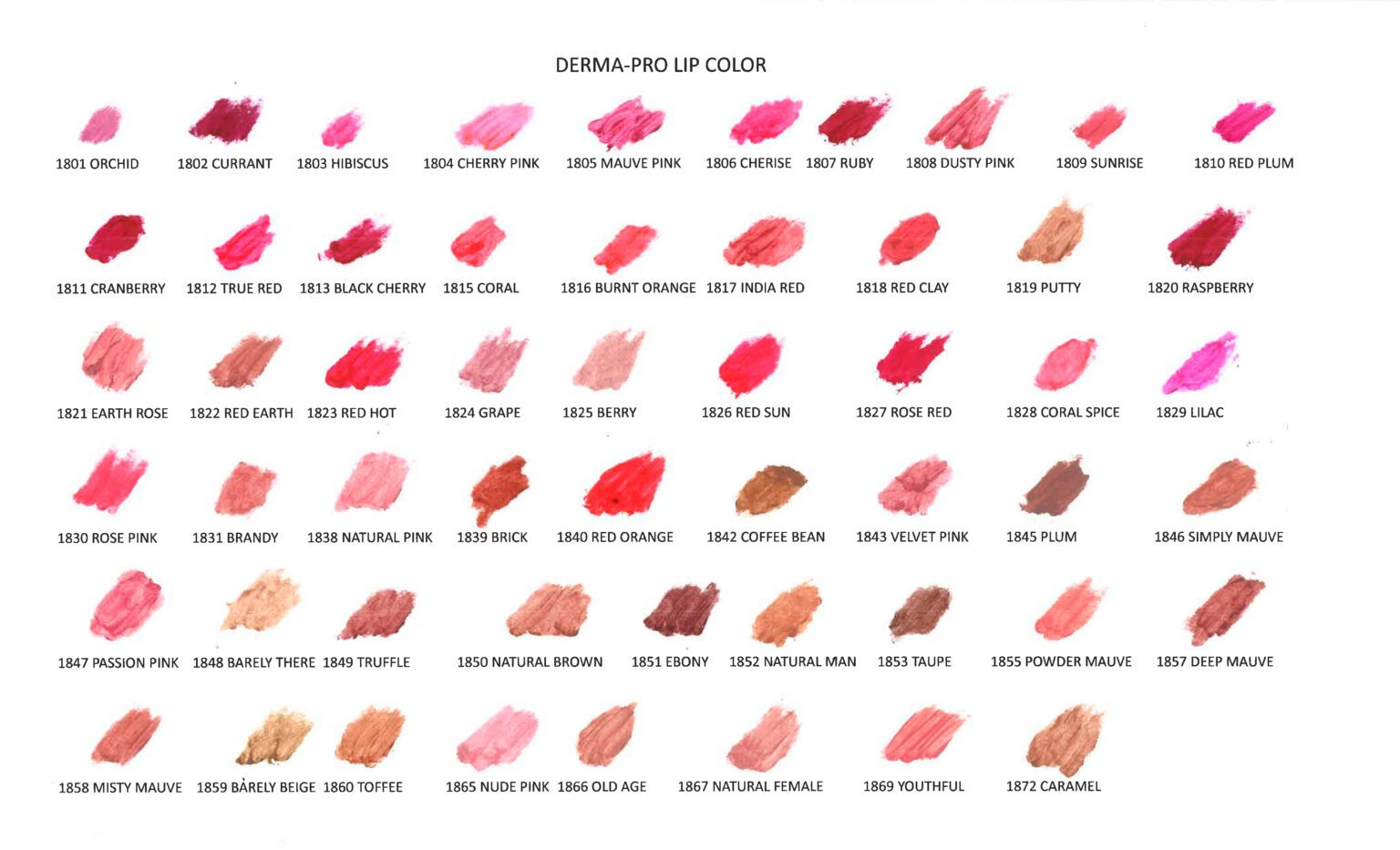 Lip Color - Derma-Pro Mortuary Cosmetics