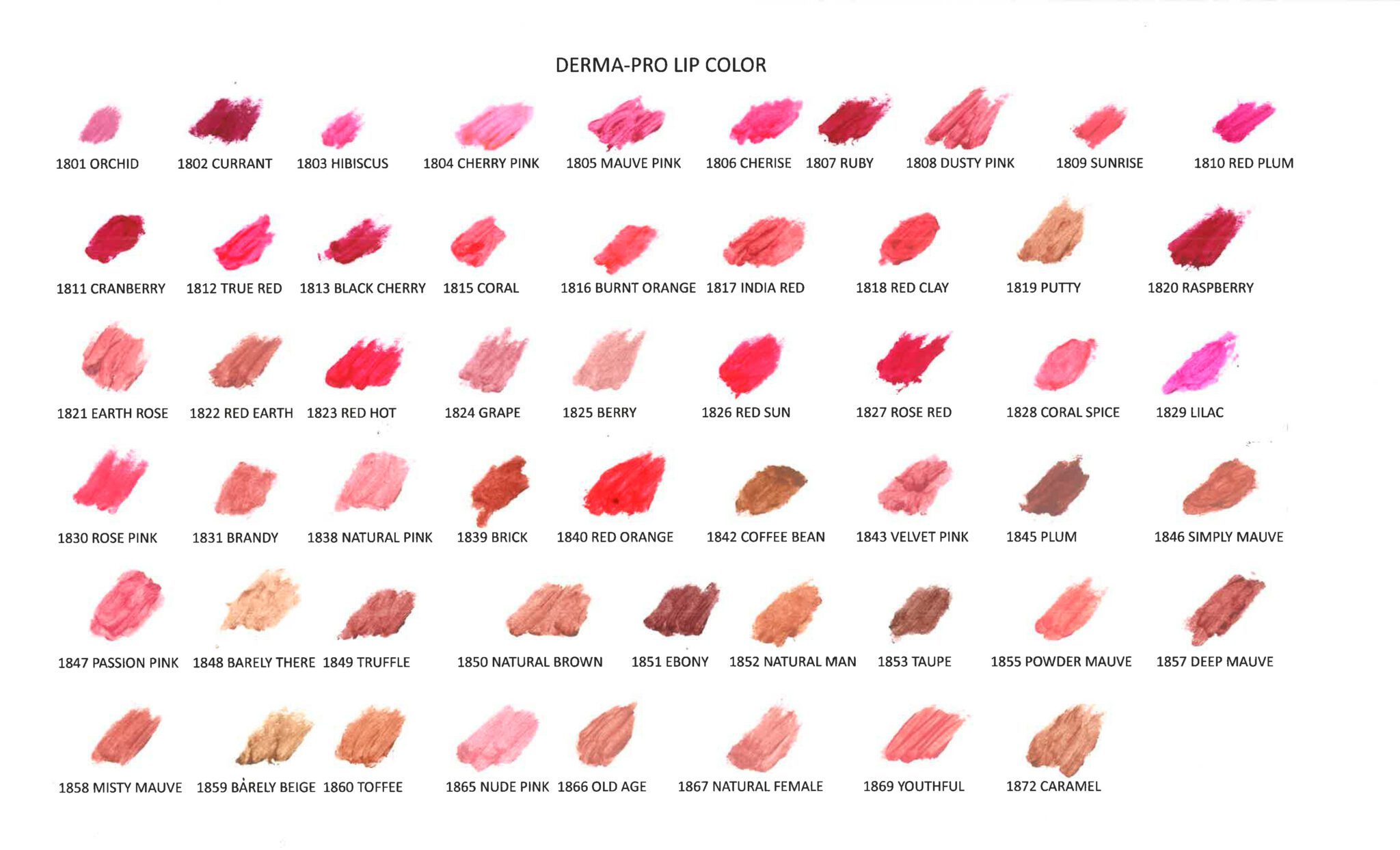 Derma-Pro Mortuary Cosmetics Lip Colors